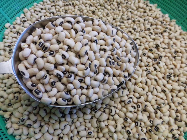 Món ăn thuốc từ đậu trắng