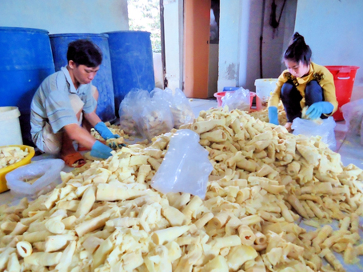 Thực phẩm chứa phụ gia và chất bảo quản
