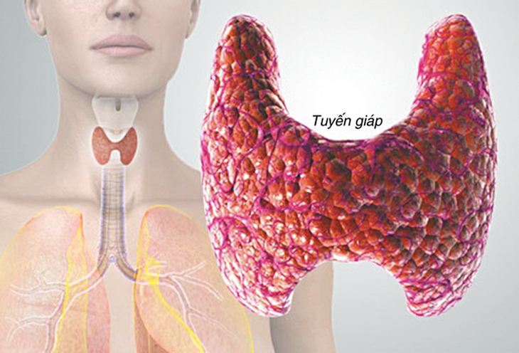 Khi tuyến giáp… trục trặc!