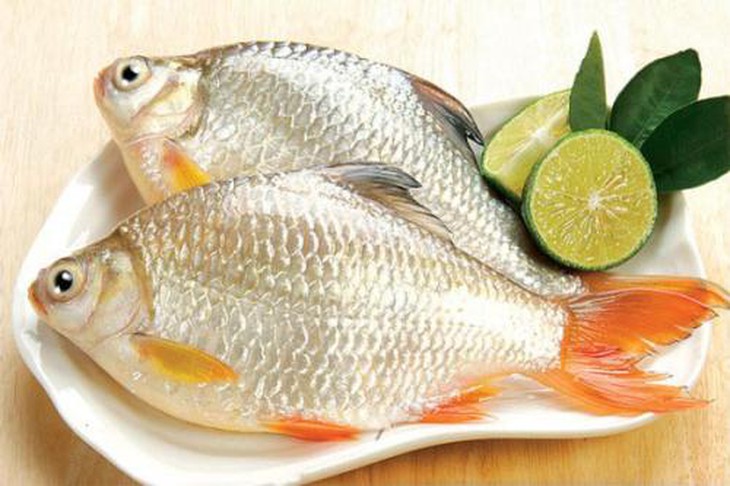  Vị thuốc từ cá diếc