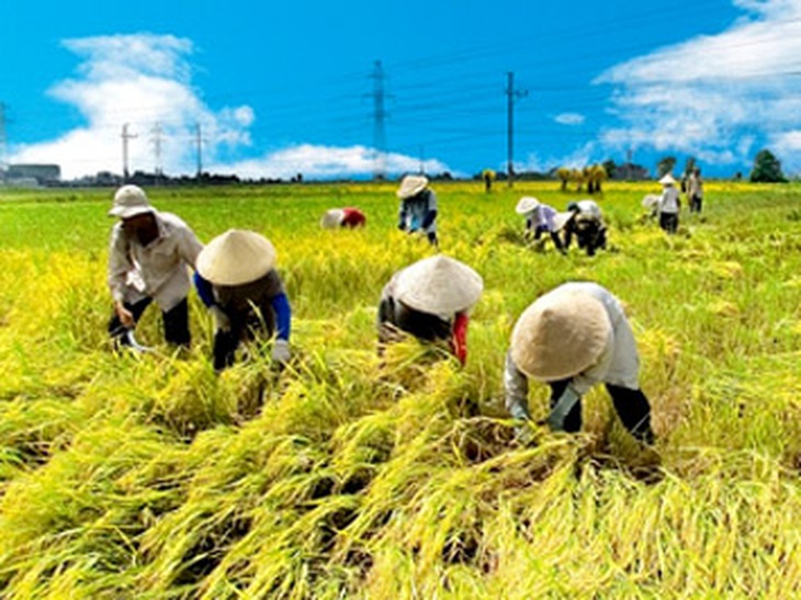 Say nắng và xử trí