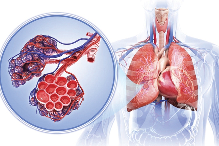 Biến đổi khí hậu và sức khỏe con người