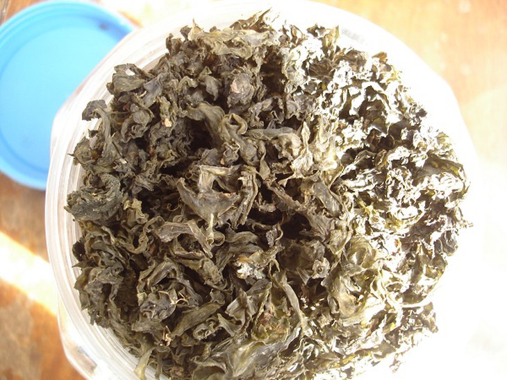 Thần thánh rêu đá Ninh Bình