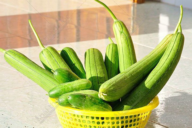Quả mướp 