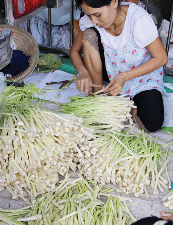 Bồn bồn