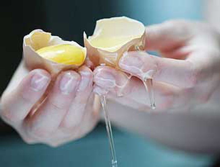 Tránh ngộ độc thực phẩm do Salmonella