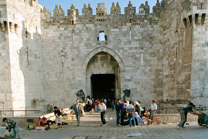 Israel- Palestine
