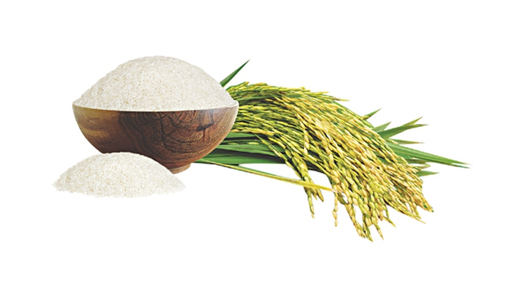 Ăn uống ra sao trong mùa nóng