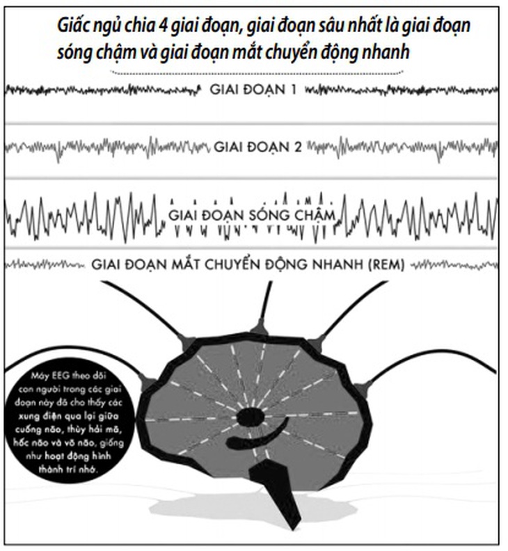 Cần ngủ sâu bao lâu là đủ?