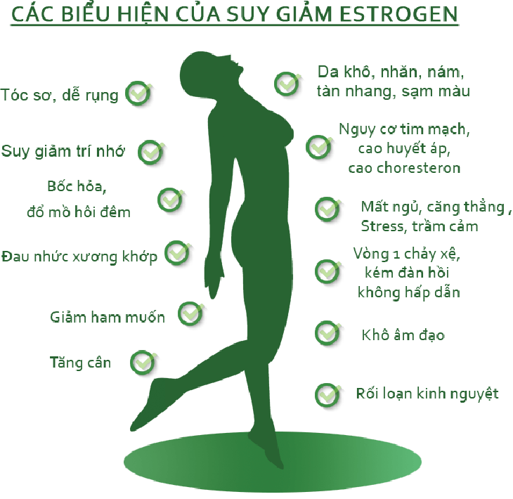 Bổ sung estrogen: Lợi và hại?
