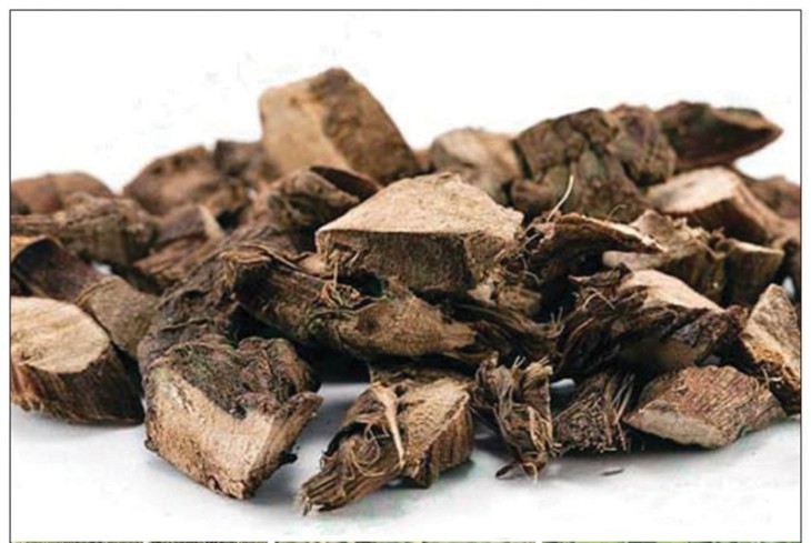 Điều trị béo phì bằng y học cổ truyền