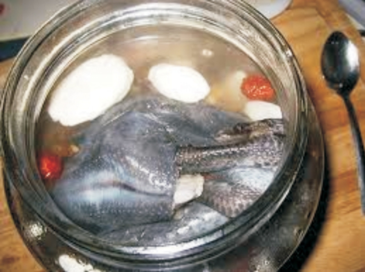 Món ăn - bài thuốc cho người huyết áp thấp