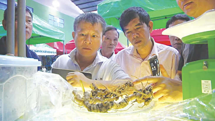 Phiên chợ sâm Ngọc Linh