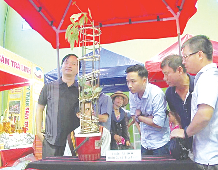 Phiên chợ sâm Ngọc Linh