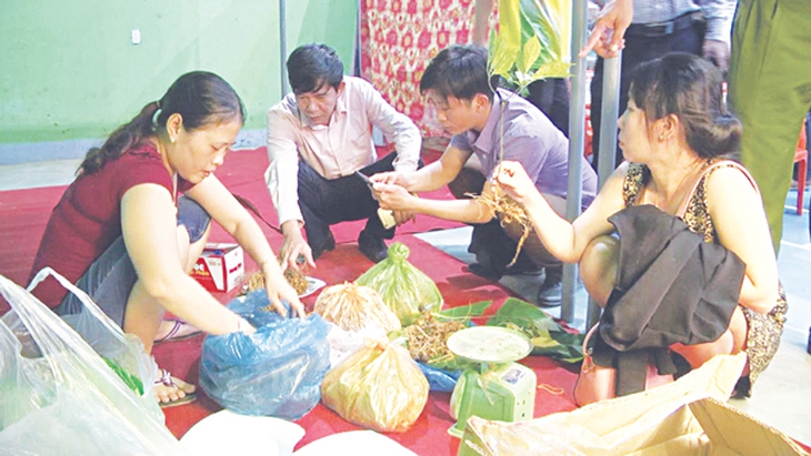 Phiên chợ sâm Ngọc Linh