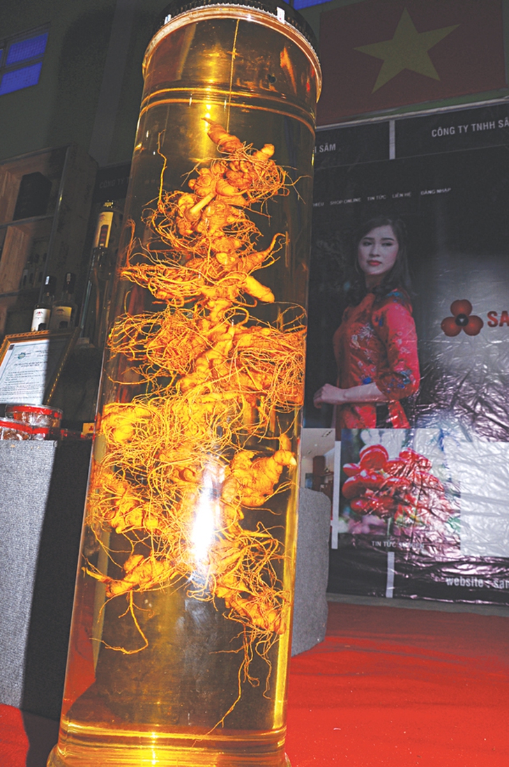 Phiên chợ sâm Ngọc Linh