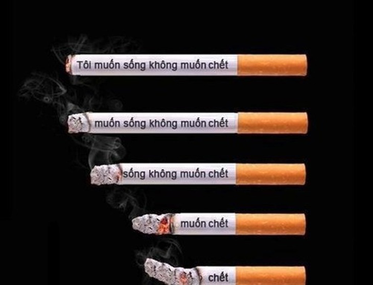 Thuốc lá - Hút loại nào cũng hại