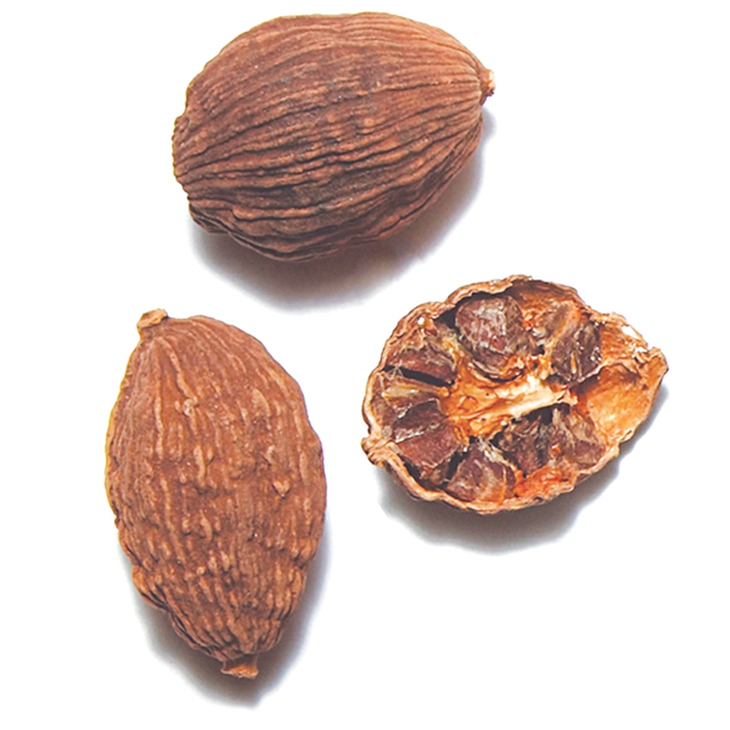 Vị thuốc từ thảo quả
