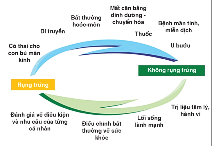 Rụng trứng là dấu hiệu khỏe mạnh ở phụ nữ