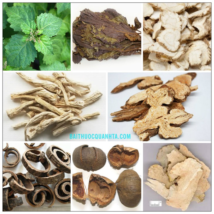 Bài thuốc trị chứng ngoại cảm phong hàn