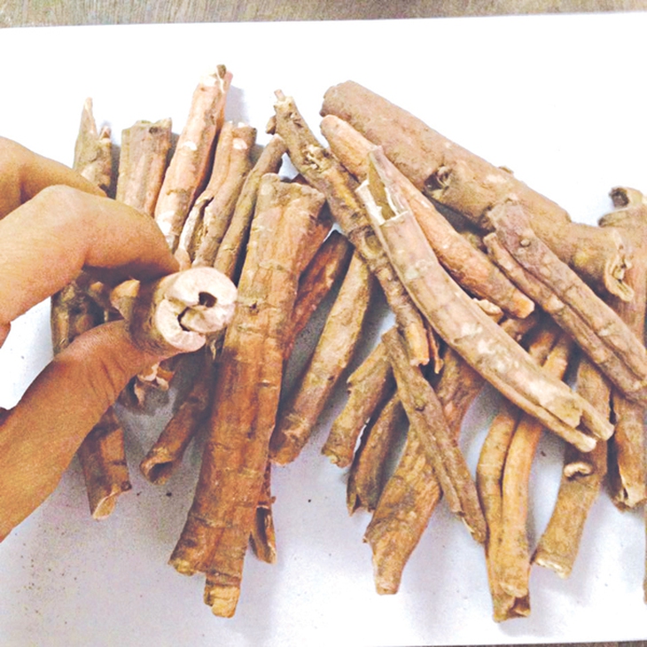 Thuốc trị chứng hư lao