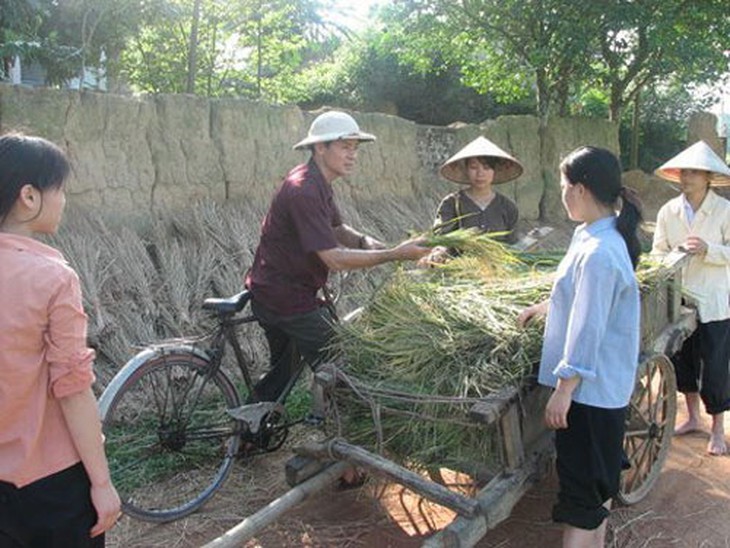 Văn học về nông thôn, giấc ngủ đông quá dài