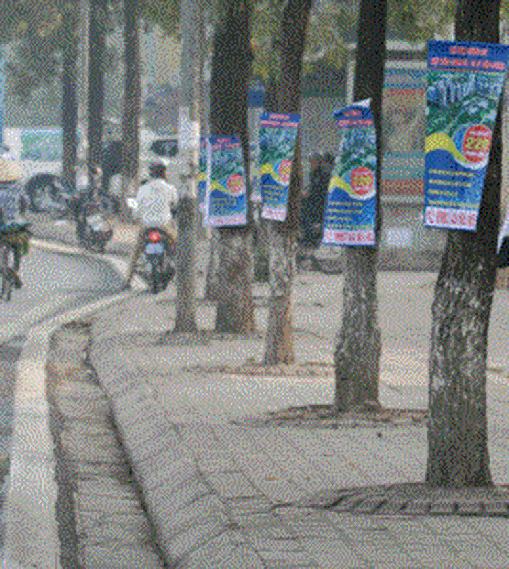 Xâm hại… cây xanh