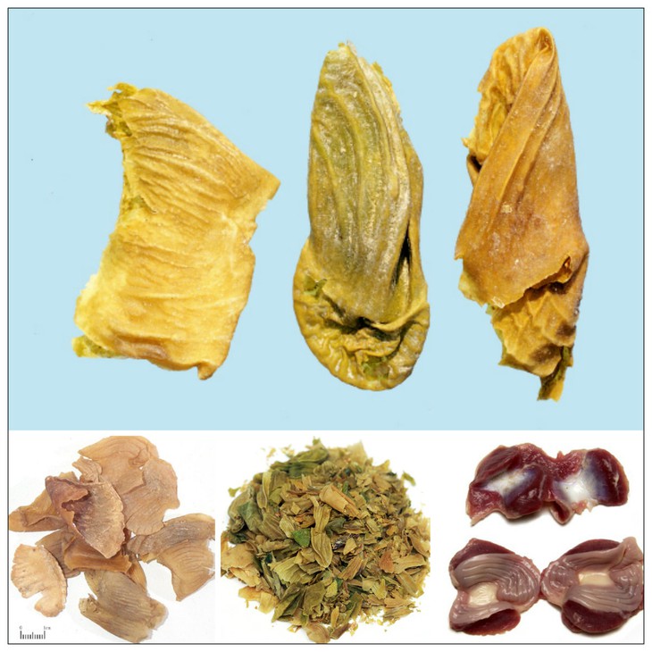 Dư phẩm từ gà làm thuốc