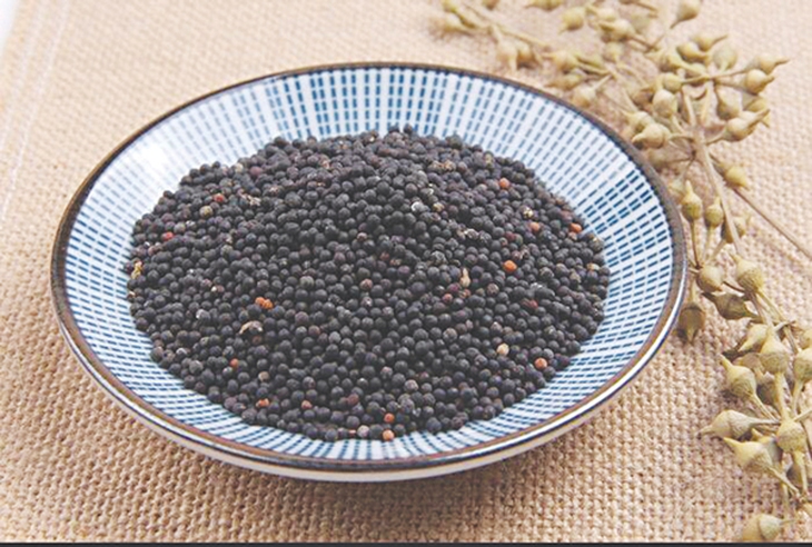 Dán hạt vương bất lưu hành