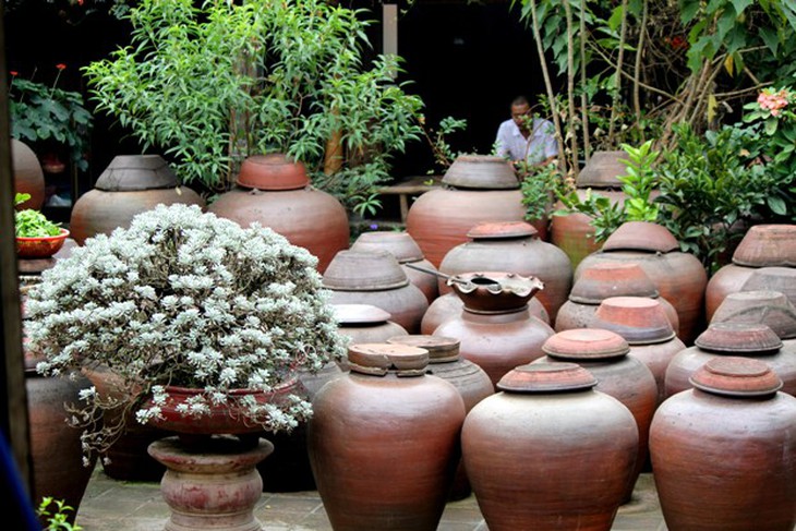 “Nhớ canh rau muống, nhớ cà dầm tương...”