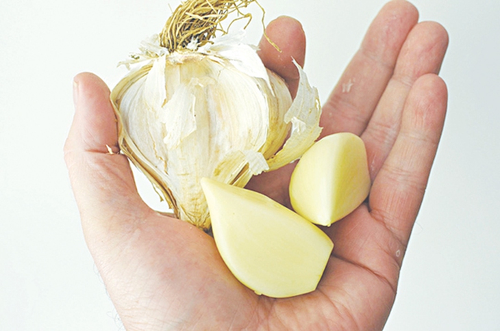 Tuyệt vời củ tỏi