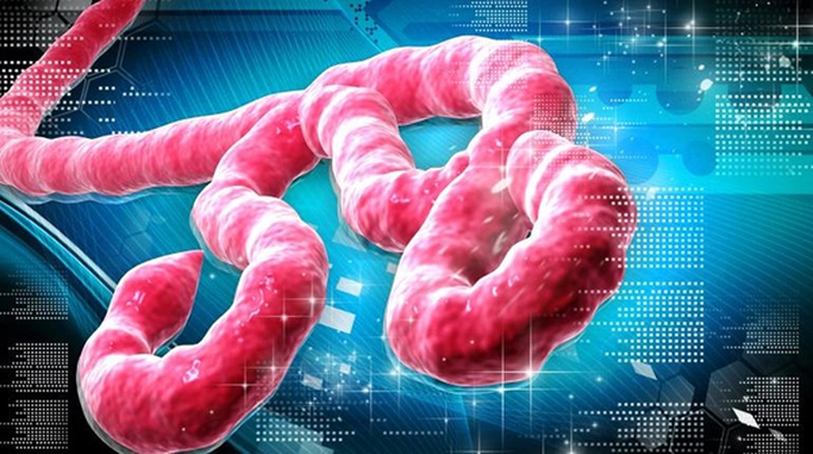 Cẩn trọng  với sát thủ Ebola