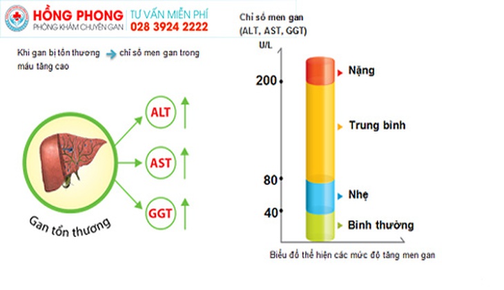 Cẩn trọng khi tăng men gan