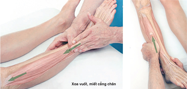 Xoa bóp - bấm huyệt  trị đau khớp chày mác  tại vùng gối