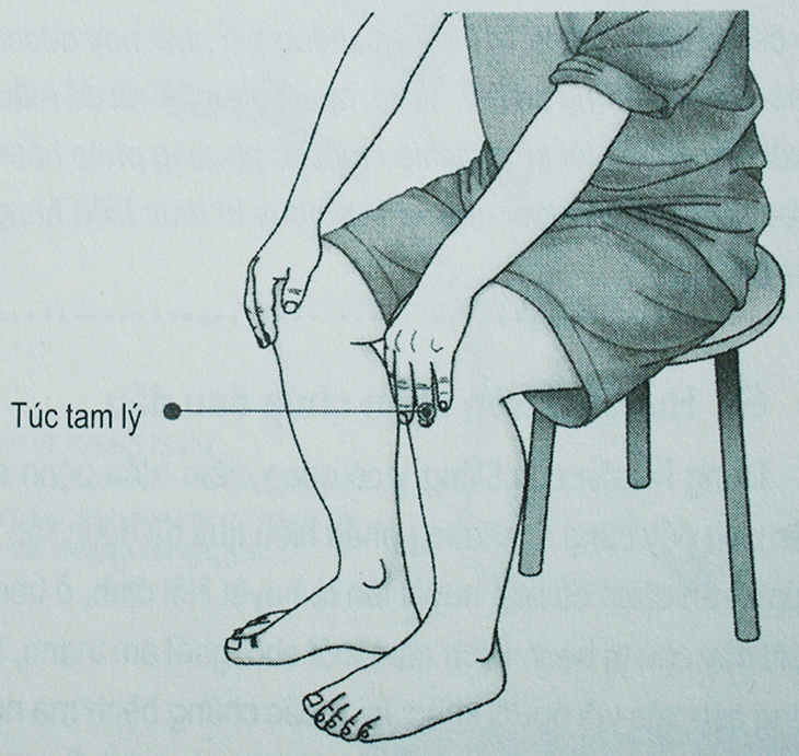 Dược thiện ngừa bệnh trĩ ở người cao tuổi