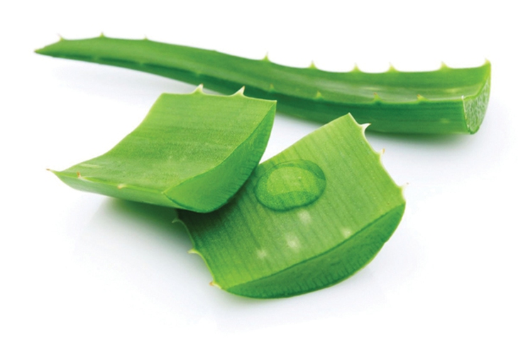 Những vị thuốc điều trị sẹo