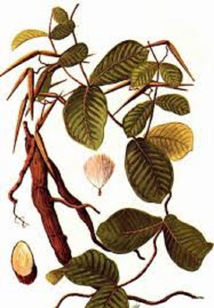 Trị chứng ngứa mùa đông