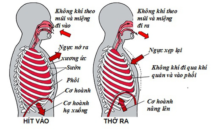 Phục hồi chức năng hô hấp