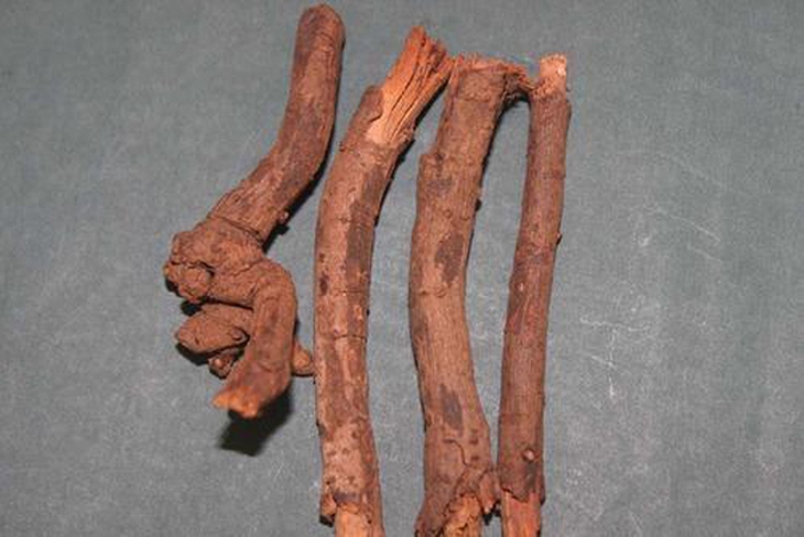Bạch hoa xà