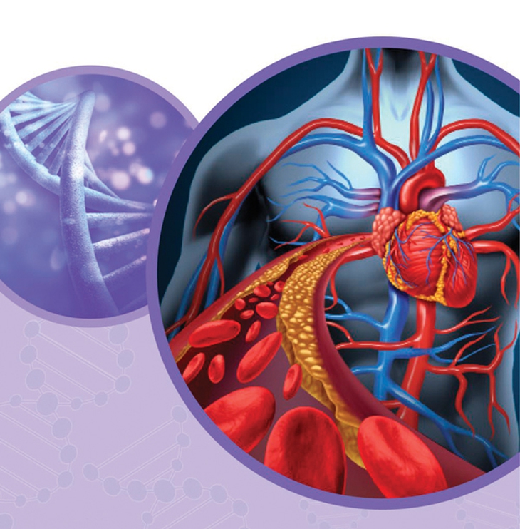 Vài khuyến cáo của CDC về bệnh cholesterol cao do di truyền