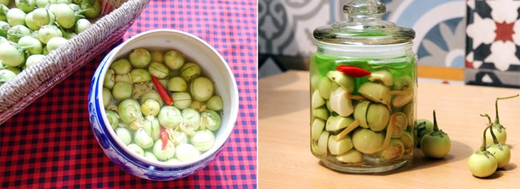 Cà pháo nhuận tràng, tiêu đờm