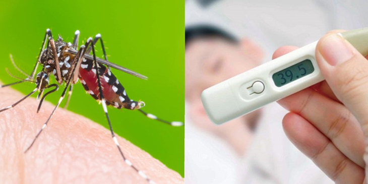 Những điều có thể bạn chưa biết về sốt xuất huyết Dengue