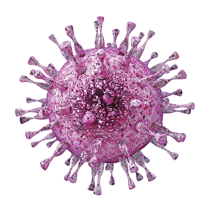 Virus herpes 