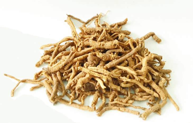 Viễn chí bổ thận, an thần