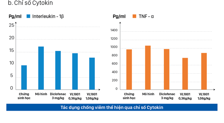 Nano dược liệu Việt Nam