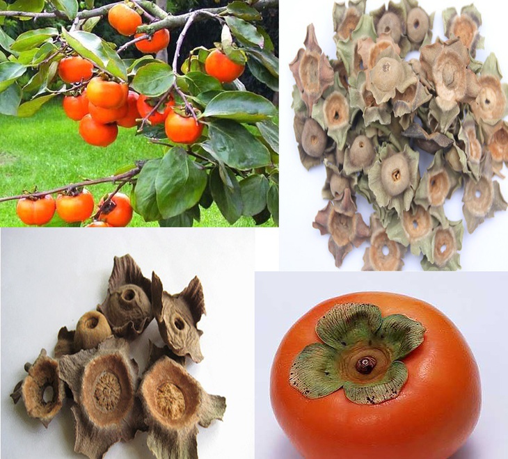 Bài thuốc trị nấc do lạnh