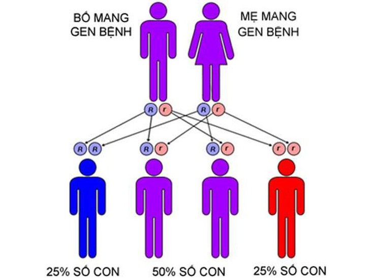 Bệnh Thalassemia có thể phòng ngừa