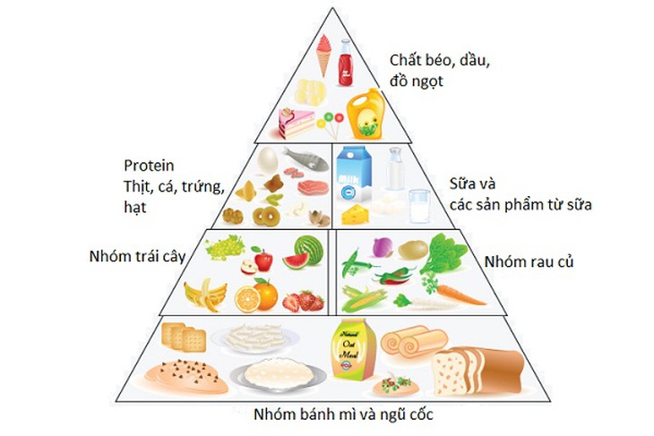 Làm thế nào để có bữa ăn hợp lý và đủ dinh dưỡng?