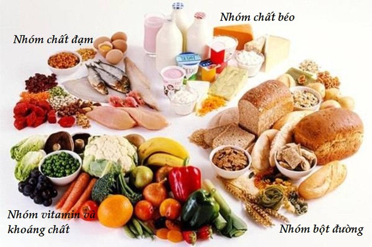 Bữa ăn hợp lý đủ dinh dưỡng tại gia đình
