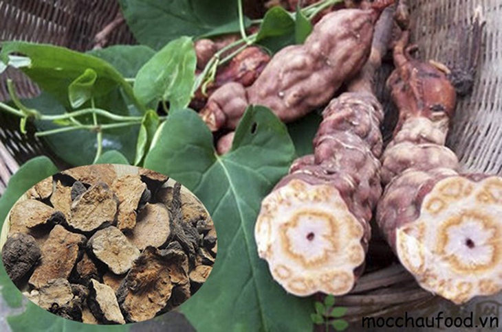  chống lão hóa